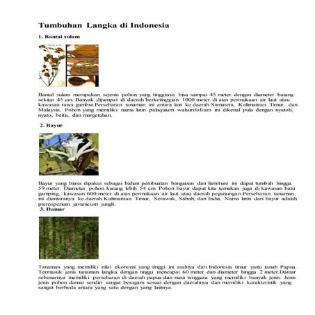 Tumbuhan langka di indonesia