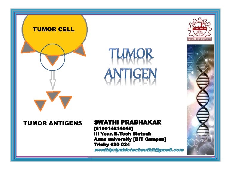 Tumor antigen