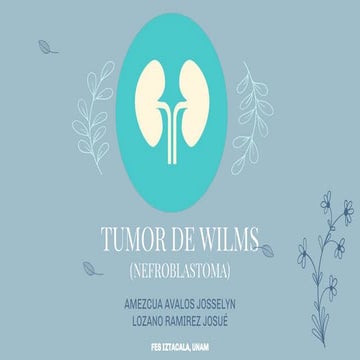 Tumor De Wilms