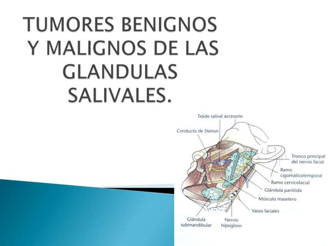 Que Es Aspecto Benigno Que Es Aspecto Benigno