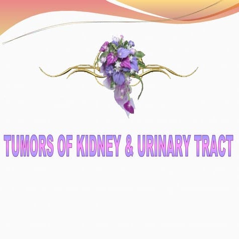 Tumors of kidney & urinary tract 2012