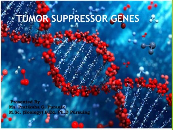 Cancer biology (Protein-53 Tumor suppressor gene) | PPT