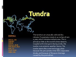 The Vital Of Successful Dogs Are