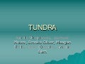 Tundra biome report 6th grade science