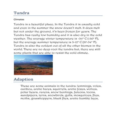 Tundra
