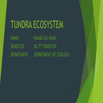 Tundra Ecosystem