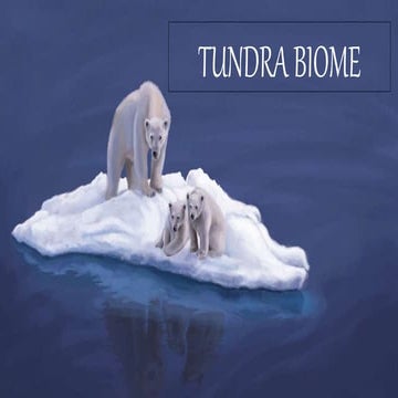 Tundra Biome - A descriptive study