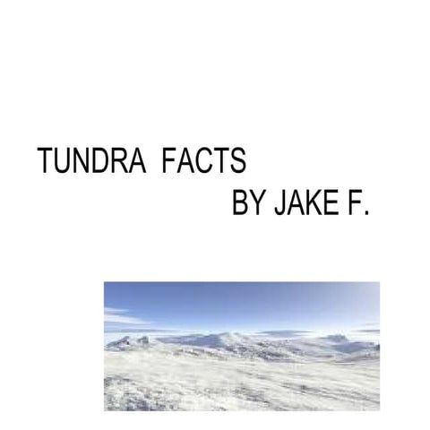 Tundra  Facts Freudiger