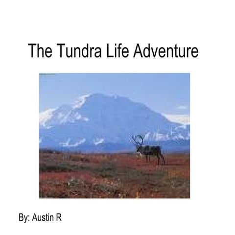 Tundra Ppt Roll