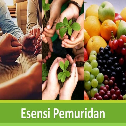Esensi Pemuridan 1: Relasional (Persahabatan Rohani)