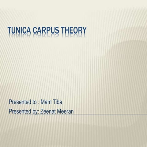 Tunica carpus theory