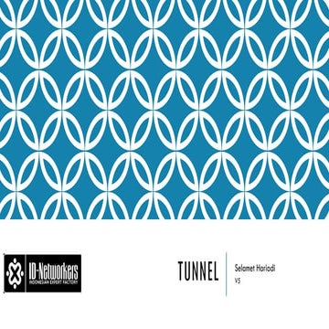 Tunnel EoIP, PPTP, L2TP, PPPoE - v5