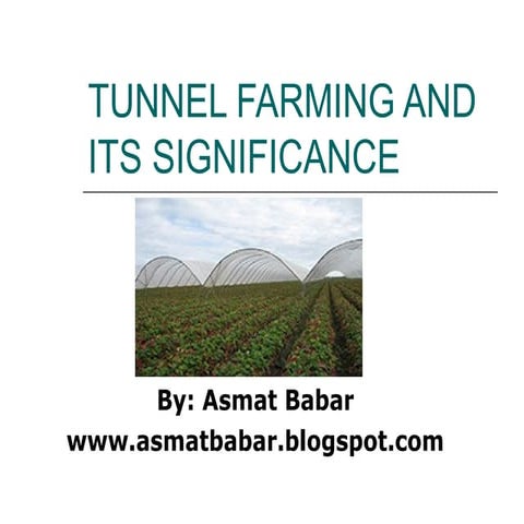Tunnel farming and its significance