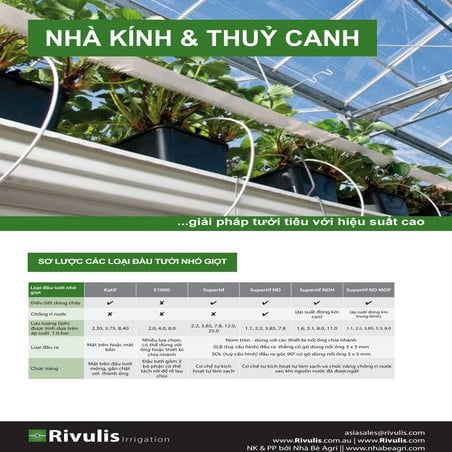 Tuoi nha kinh   thuy canh - rivulis