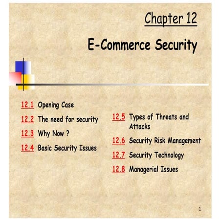 E commerce Security 