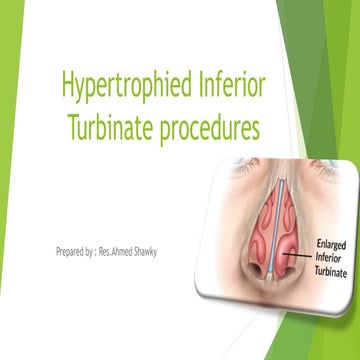 turbinate.pptx