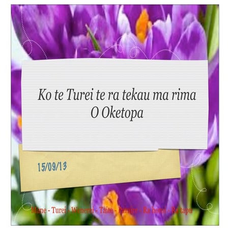 Turei week 1 term 4 pdf