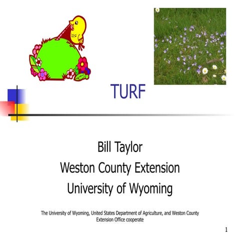 Turf Management | PPT