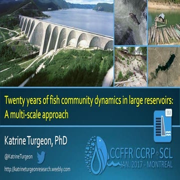 Katrine Turgeon - CCFFR2017 - Twenty years of fish community dynamics in larg...
