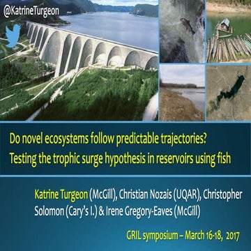 Do novel ecosystems follow predictable trajectoires? Testing the trophic surg...