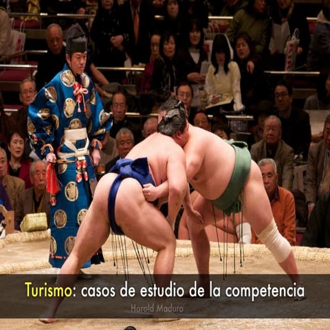 Turismo: Casos de Estudio de la Competencia