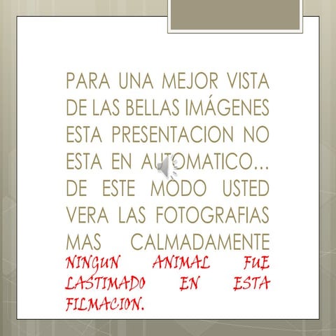 Turismo en el sauz de ibarra