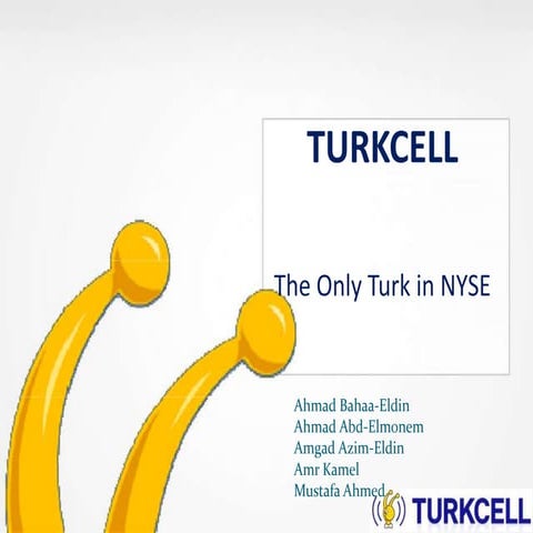Turkcell Financial Position