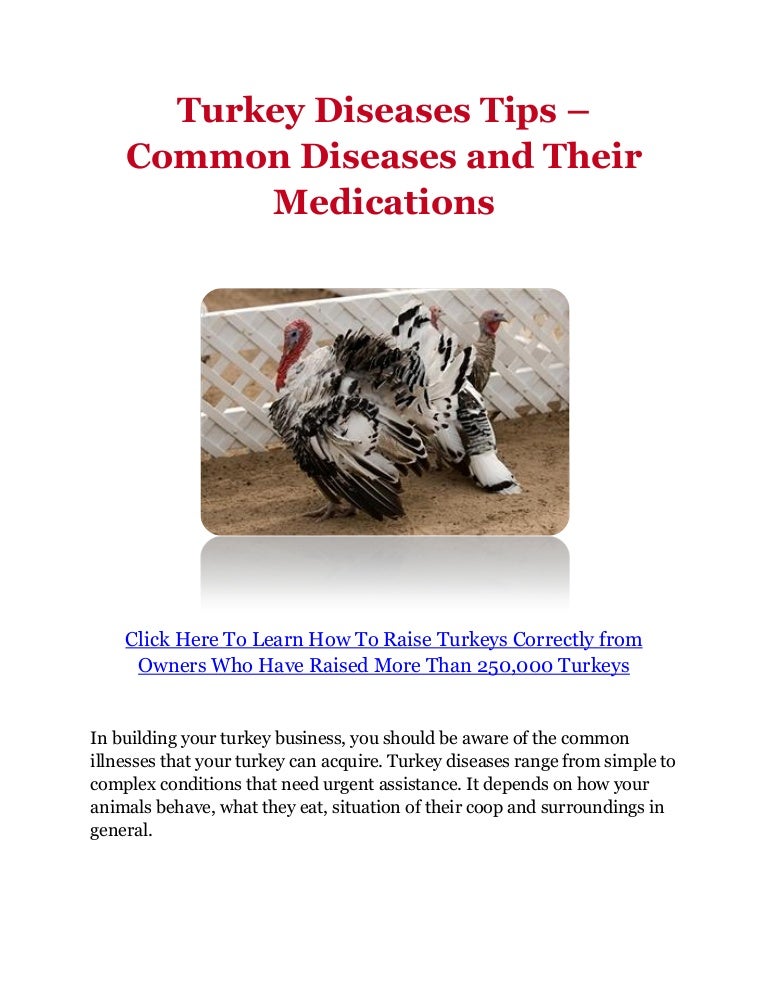 Turkey Diseases Tips Common Diseases and Their Medications