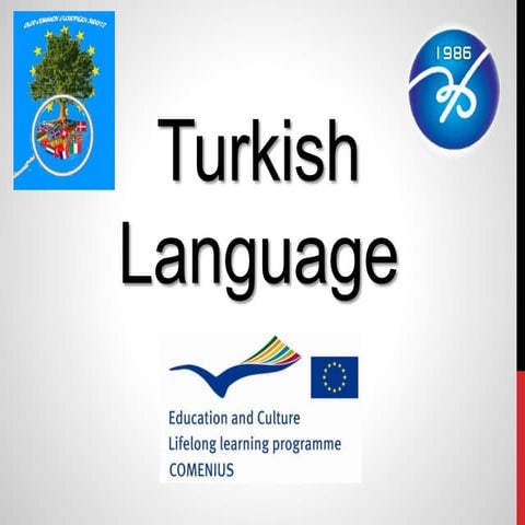 Turkish language