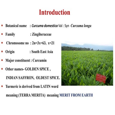 turmeric cultivativation , production technology of turmeric | PPTX