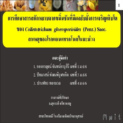 Turmeric Crude Extract Project