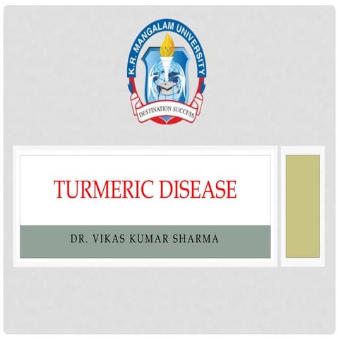 turmeric disease and its management in the crops