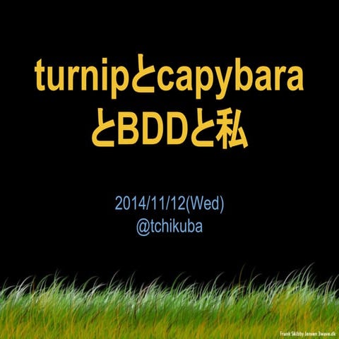 turnipとcapybaraとBDDと私