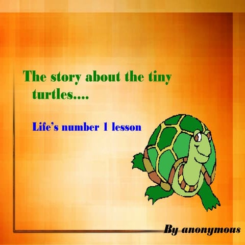 Turtle story, motivation
