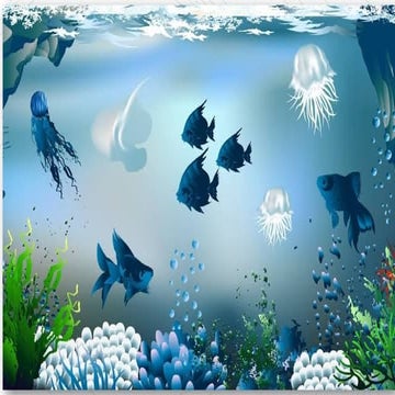 Fish Scales by Tusshar Garg.pptx placoid cosmoid ganoid cycloid ctenoid lepto...