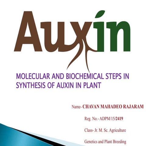 Molecular And Biochemical Steps In Synthesis Of Auxin In Plant