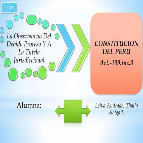 Tutela jurisdiccional y el debido proceso.