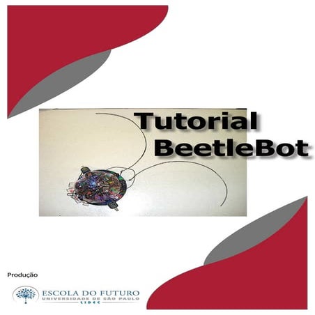 Tutorial Beetlebot