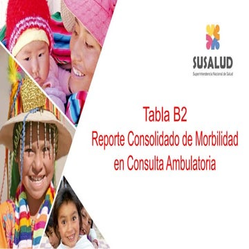 TUTORIAL-GENERACION-TABLA-B2 Super intendencia de SALUD