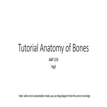 Tutorial Anatomy of Bones and structures