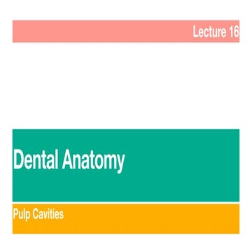Anatomy of dental pulp.pdf