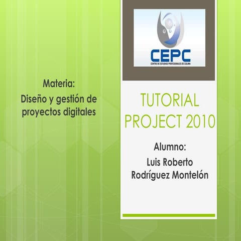 Tutorial project 2010