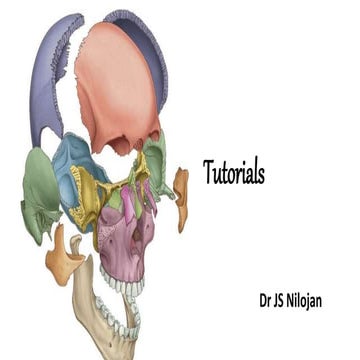 Tutorials skull.pptx