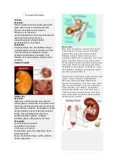 Penyakit pada ginjal (Albuminuria, Anuria, Glikosaria dan sbg)