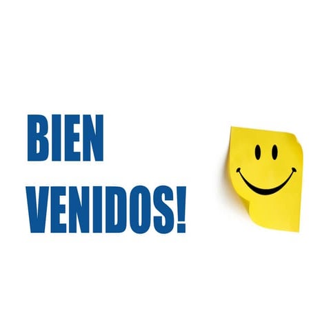 Del Freelancing a la Empresa. La historia de INSIGNIA.