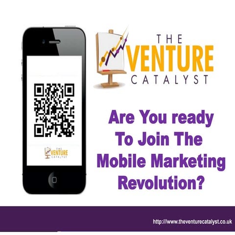 Mobile marketing Strategy 2013