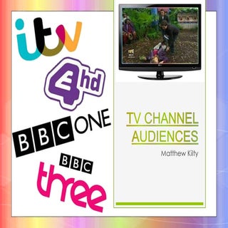 TV Channels and Audiences