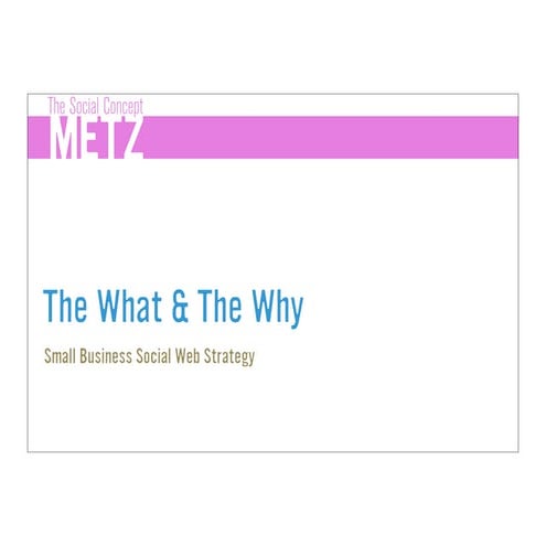 The What &amp; The Why: Small Business Social Web Strategy