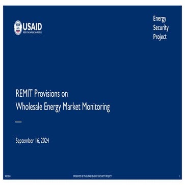 REMIT Provision on Wholesale Energy Market Monitoring | PDF
