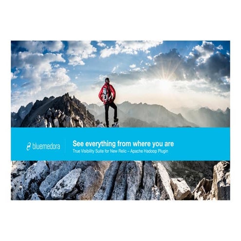 New Relic Plugin for Hadoop | Blue Medora